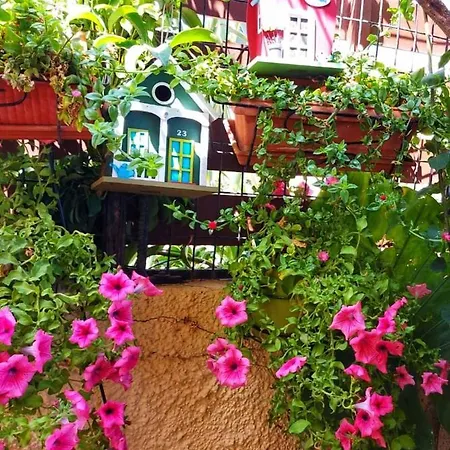 Elisavet's House